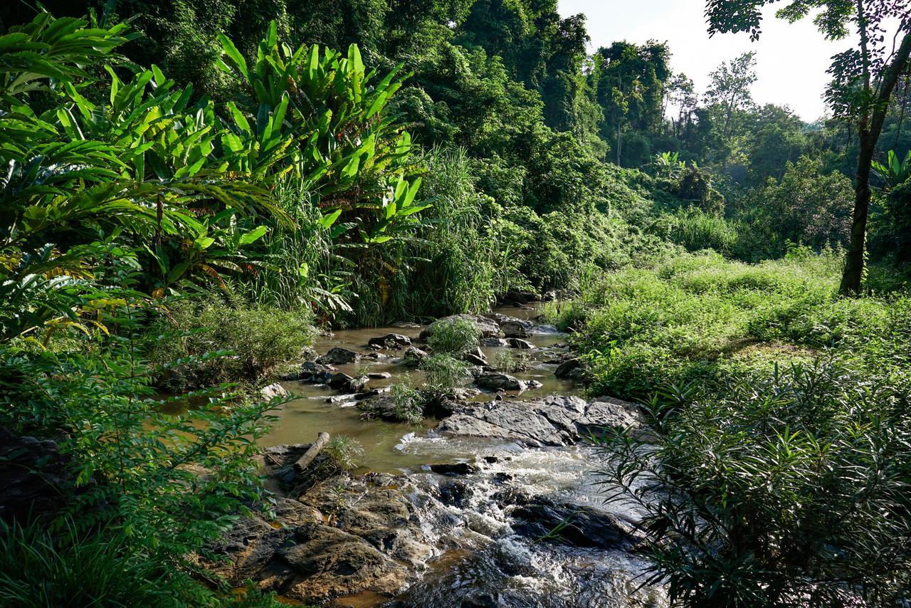 Phutarntree Resort Chiang Mai Dış mekan fotoğraf