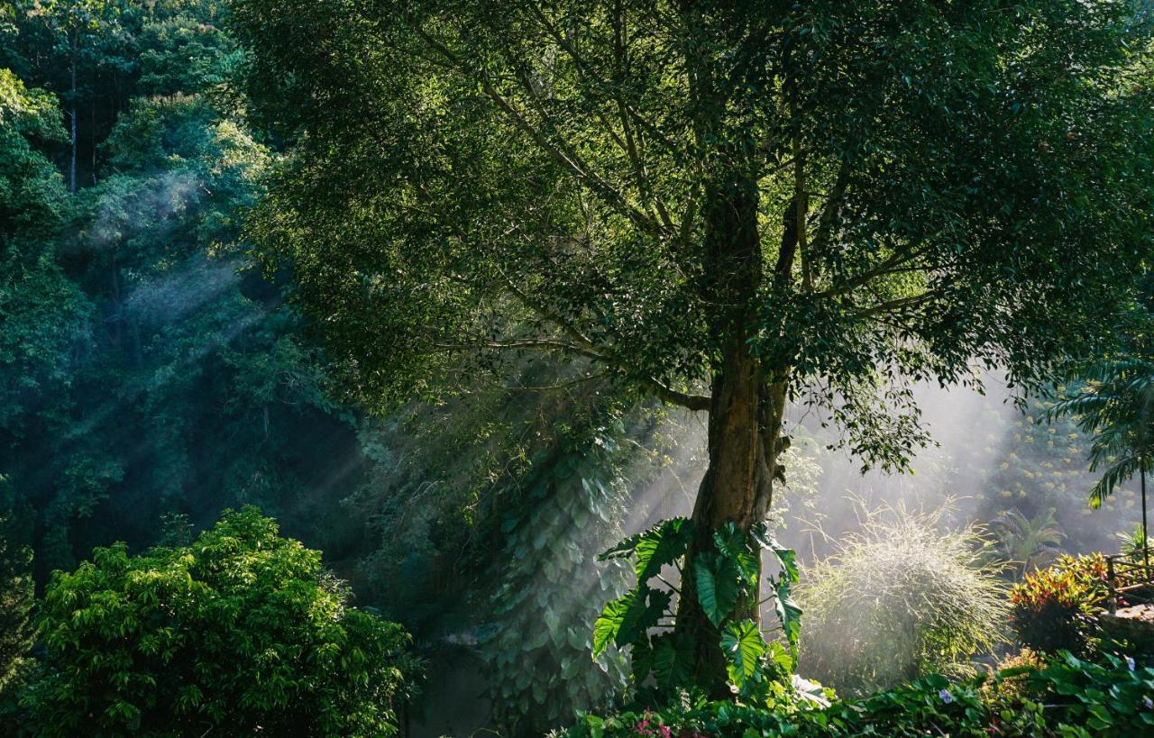 Phutarntree Resort Chiang Mai Dış mekan fotoğraf