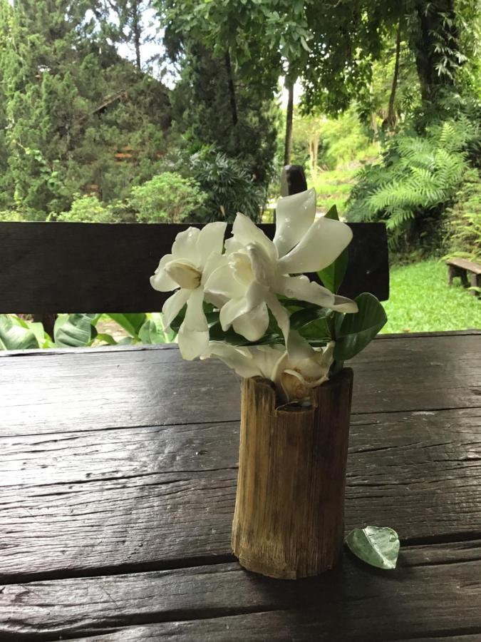 Phutarntree Resort Chiang Mai Dış mekan fotoğraf